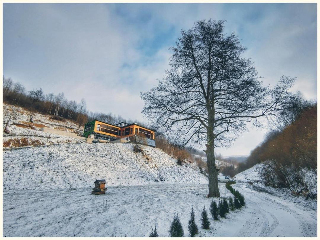 Alter Ego Otel Valea Drăganului Dış mekan fotoğraf